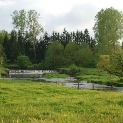 Pêche en rivière