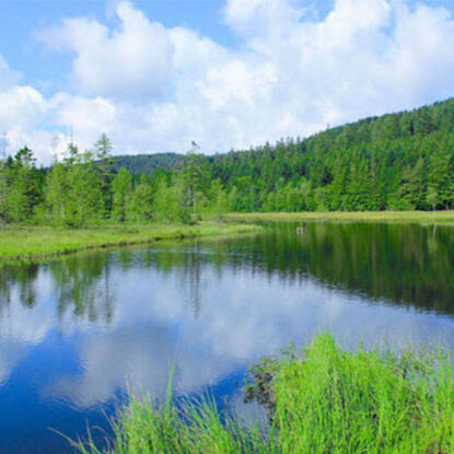 Pêche en plan d'eau privé
