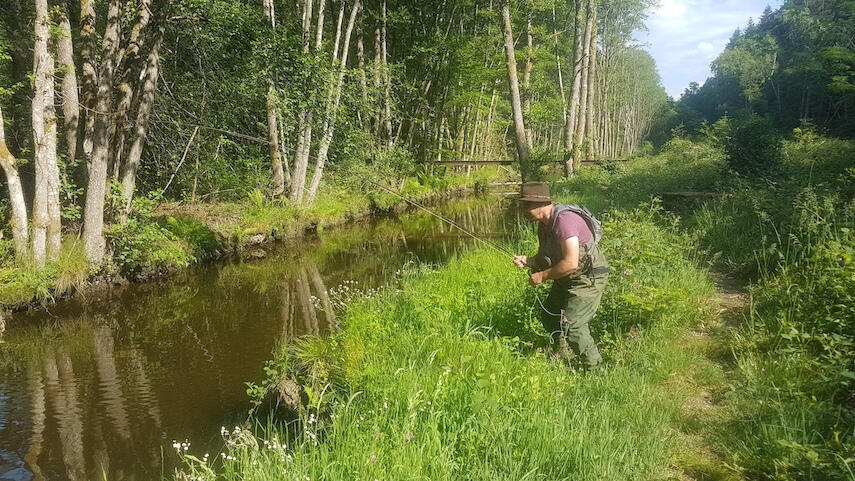 Pêche à la truite